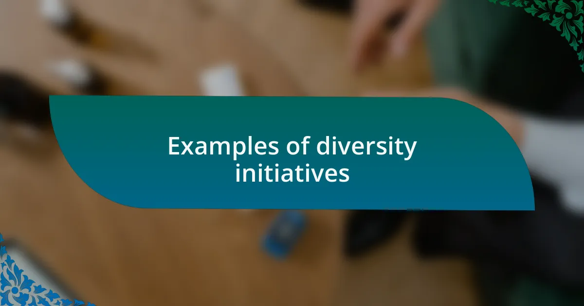 Examples of diversity initiatives