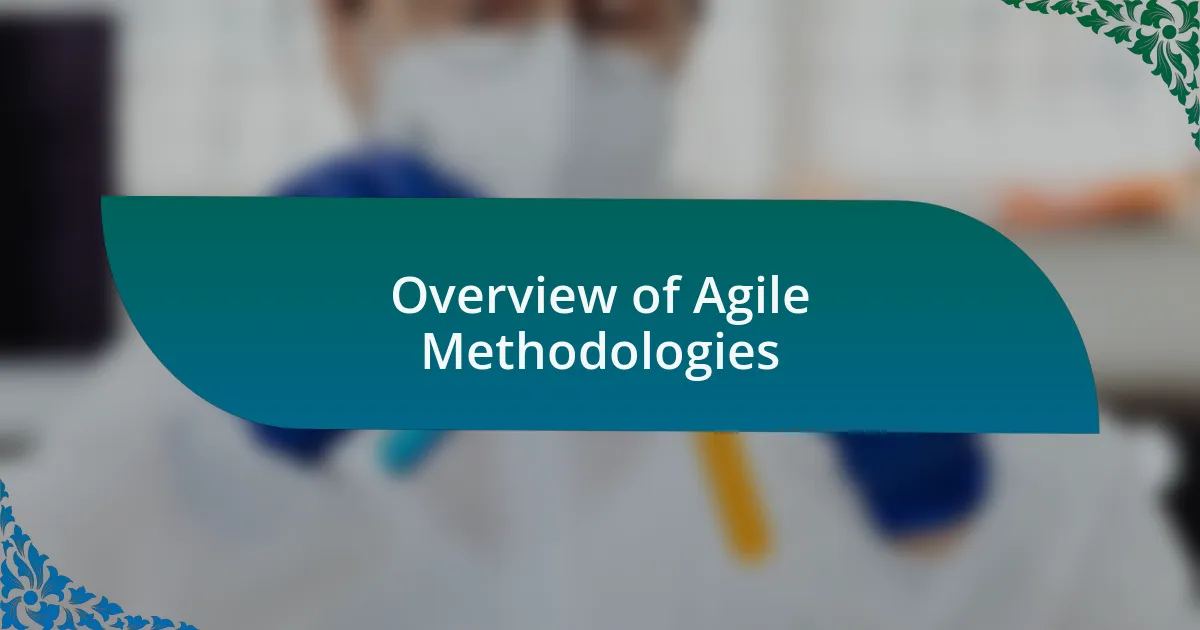 Overview of Agile Methodologies