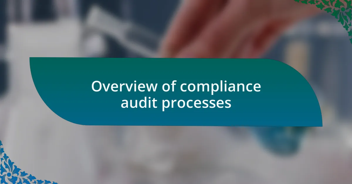 Overview of compliance audit processes
