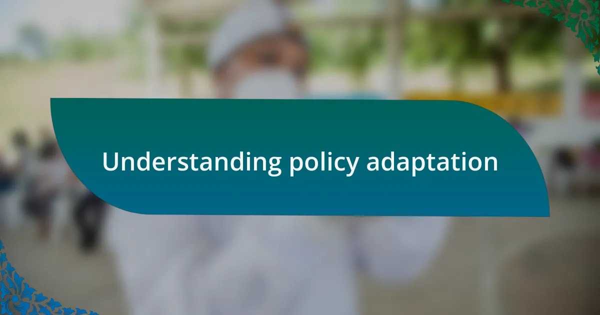 Understanding policy adaptation